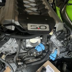 2013 Mustang GT Engine Coyote 
