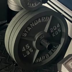 Standard Barbell Company 45 Lb  Deep Dish Plates