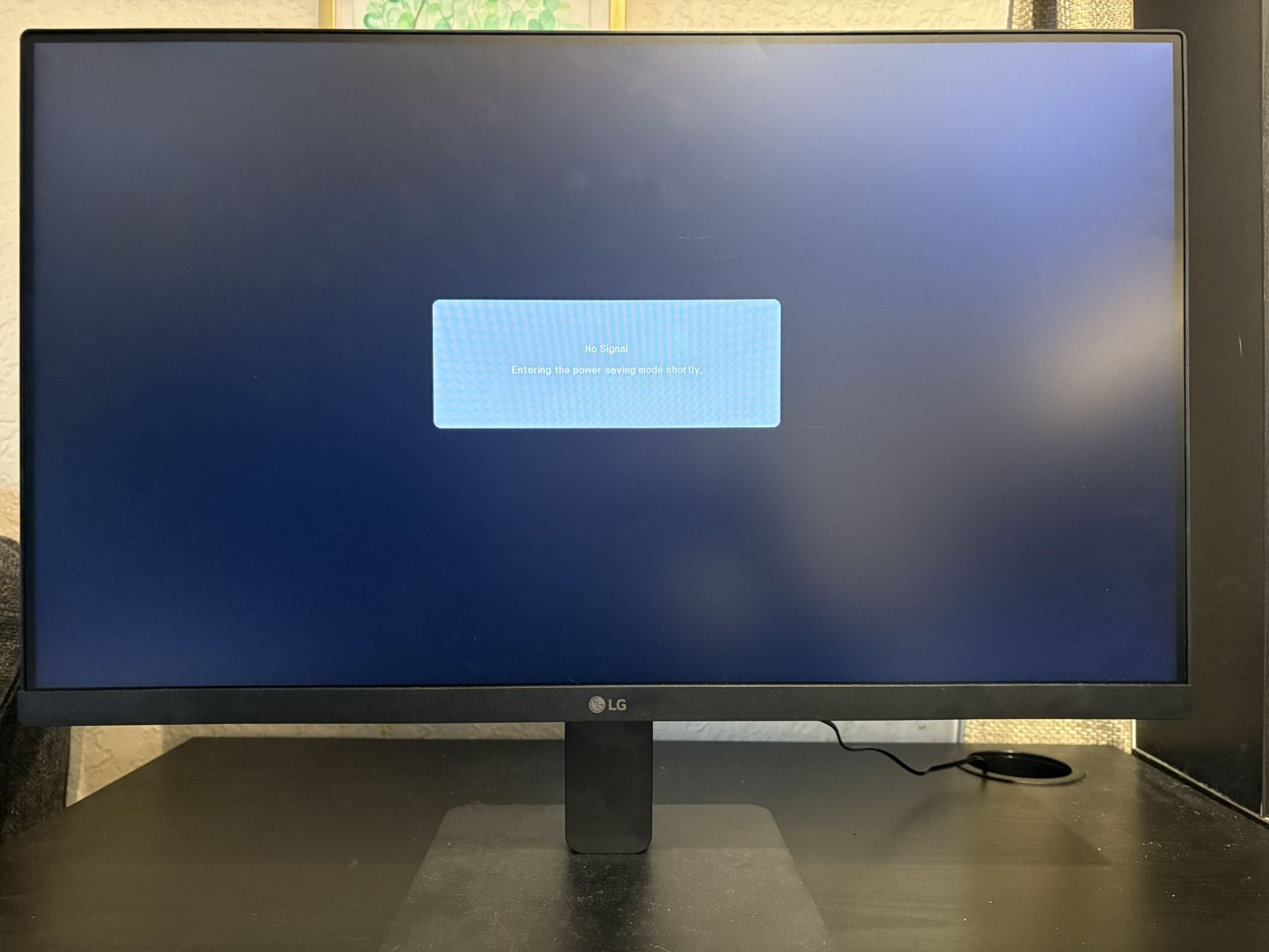 LG Computer Monitor