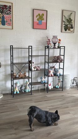 Display shelf