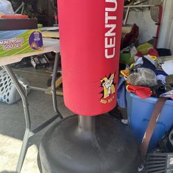 Kids Punching Bag