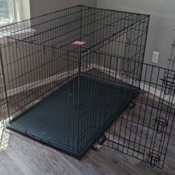 Top Paw®️ Double Door Folding Wire Dog Crate - XL