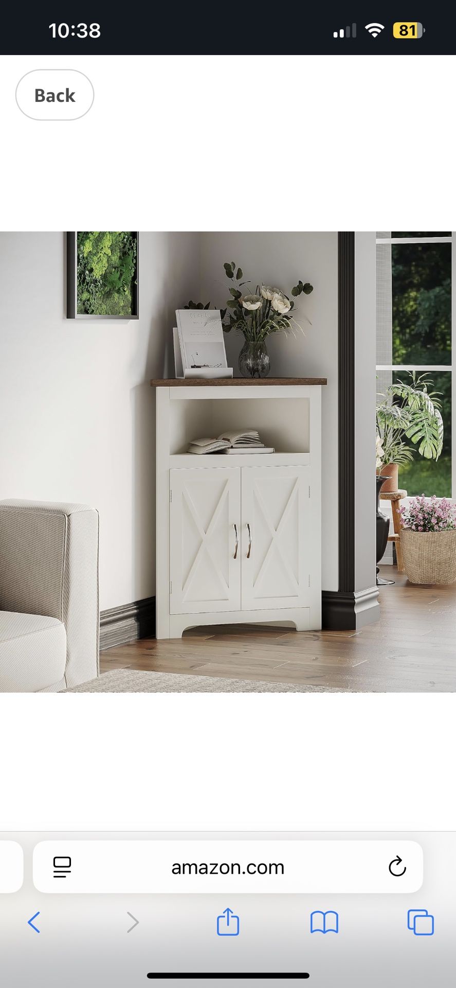 Corner Cabinet