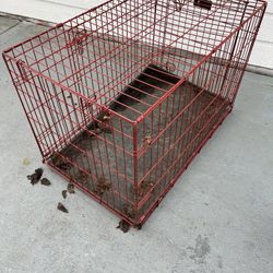 Dog Cage