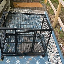 Dog Cage 