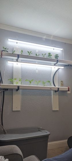 Hydroponic Plant Wall Mount
