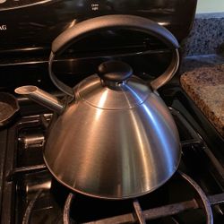 Stainless Steel Tea Kettle 