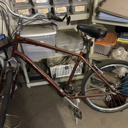 Specialized 21″ Frame Bike (XL)