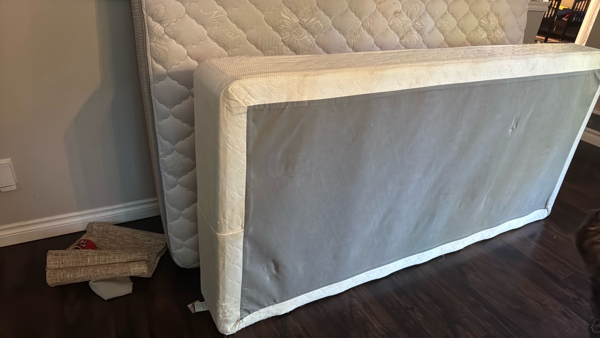 Box Spring - Free - Twin XL