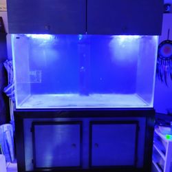200 Gallon Acrylic Aquarium With Stand And Canopy 