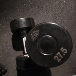 27.5 lbs  dumbells Weights 