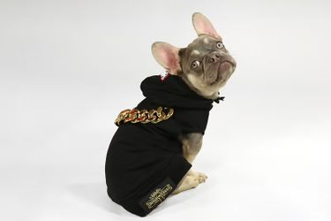 Snoop Dogg Brand Dog Hoodie With Chain
