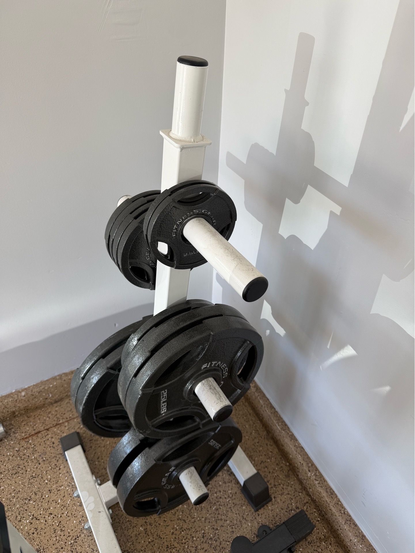 255 LB Weights and Storage Rack