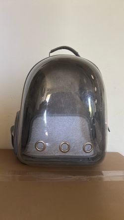 Kitten carrying backpack