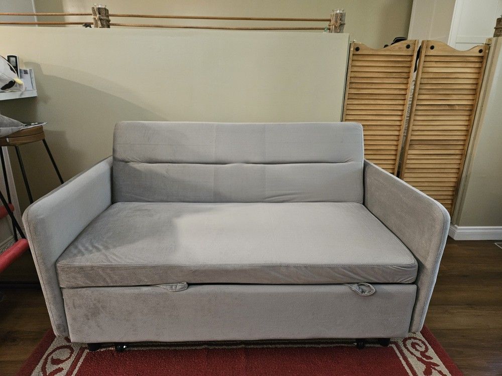 Grey Sleeper Sofa 54"