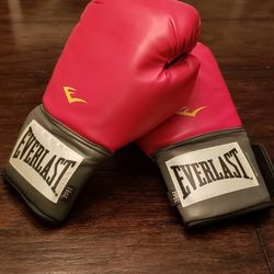 Everlast 16oz Boxing Training Gloves