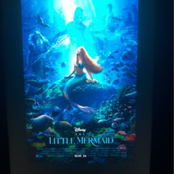 The Little Mermaid (2023)/the Mother (2023)/transfusion/kandahar (2023)