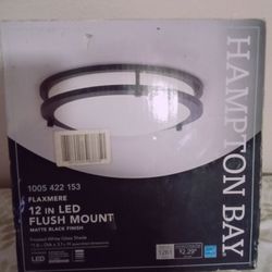 Hampton Bay light  .   Brand new