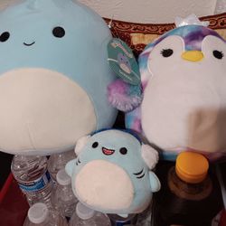 Stuff Animals 