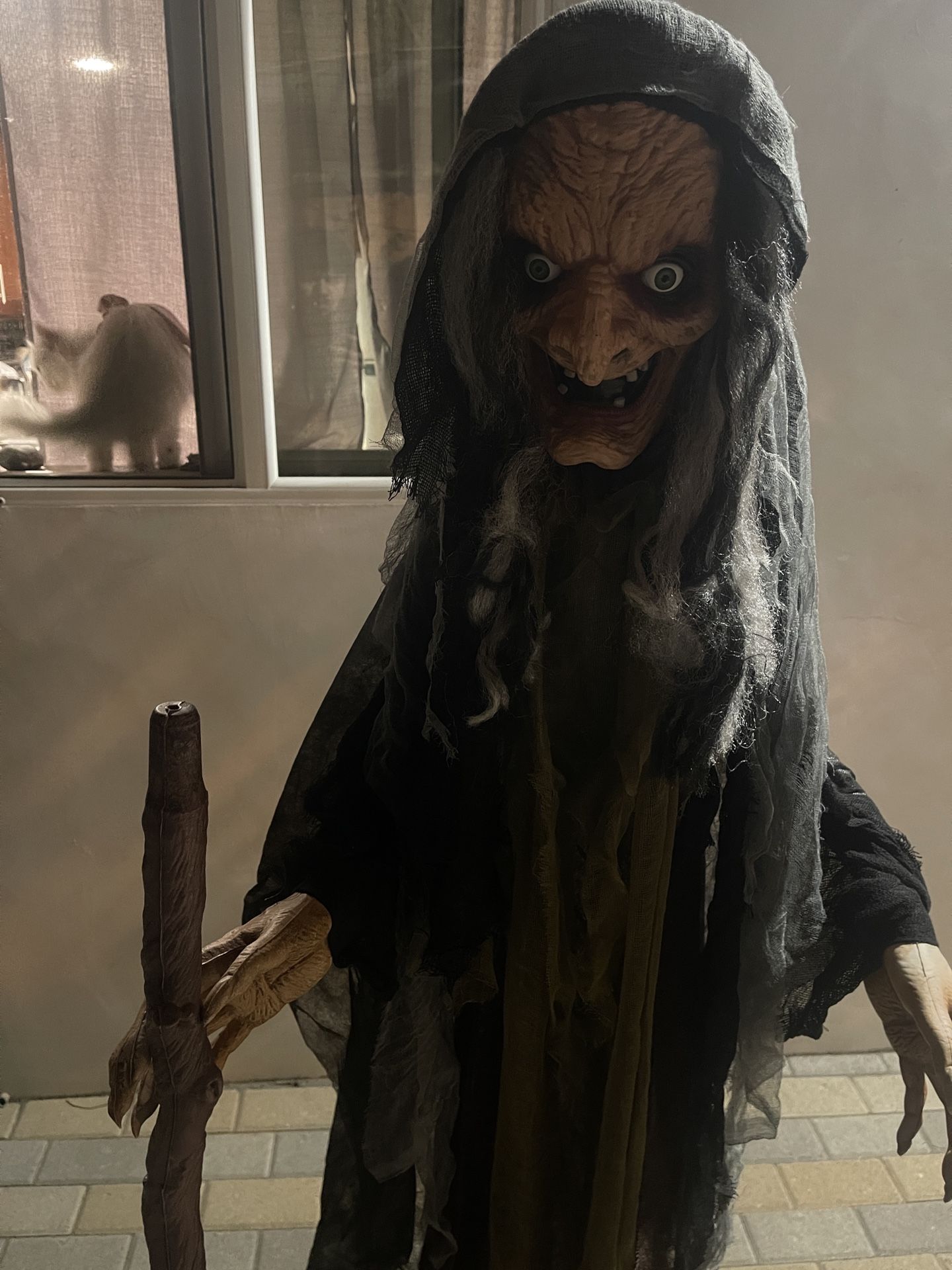 Halloween Creepy Old Lady