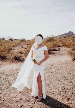 Wedding Dress + Veil