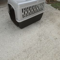 Dog Kennel