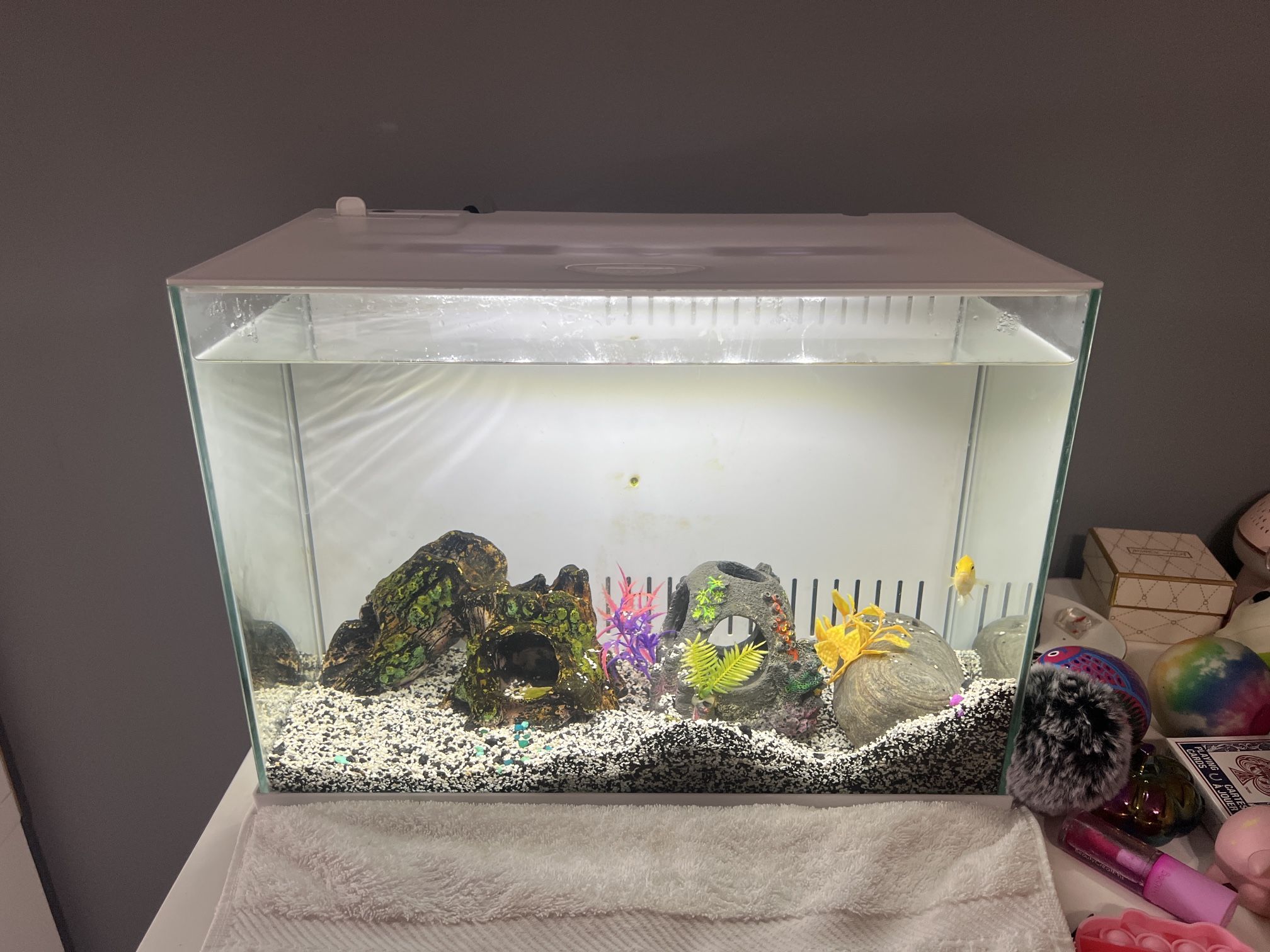 5 Gallon Tank Aquarium Pecera Top Fin