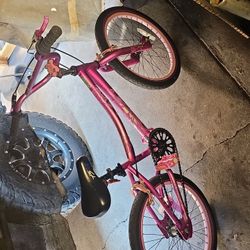 Kids Bike