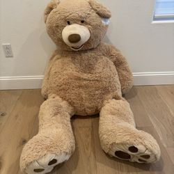 Teddy Bear 