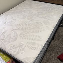 Queen Bed Mattress 