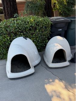 Dog House / Igloo