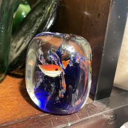 🚨VINTAGE Murano Studio Art Glass Paperweight Aquarium Fish Coral Ocean