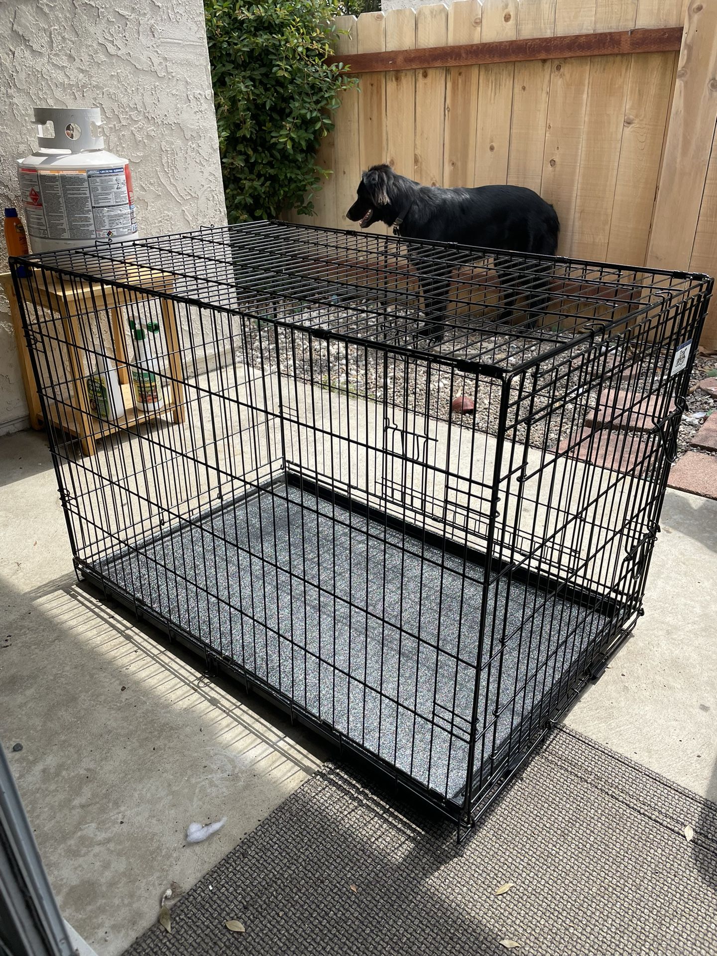Extra Large Collapsible Dog Crate - Main Image