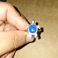 Turtle 🐢 Mood Ring 