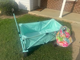 Beach wagon w/ insulated beach picnic bag