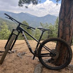 Rosco Trek 7 2024