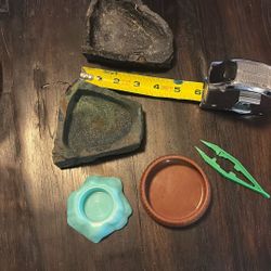 Reptile Dishes