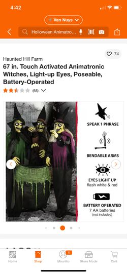 67 in. Touch Activated Animatronic Witches, Light-up Eyes, Poseable, Battery-Operated