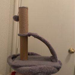 Cat Little Scratch Pole 