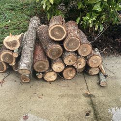 Free Firewood 