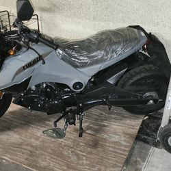 FUERZA（PMZ125-1）
125cc 