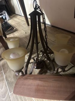 House lights fan