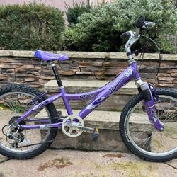 20" Trek Mountain Track 60 Bikе