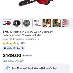 SKIL 40-volt 14-in Battery 2.5 Ah Chainsaw Battery Included Charger Included