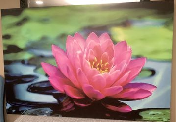 Water Lilly In Pond Art Work. Great In Any Room