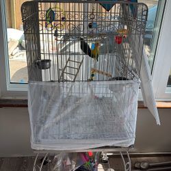 Cage With Toys 