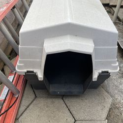 Dog House 