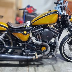 2001 Harley Davidson Custom Sportster 1200