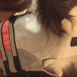 Dog Life Jacket 