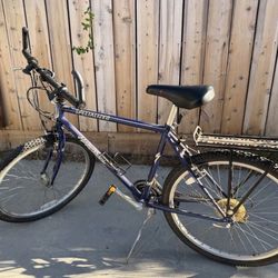 Specialized Hard Rock GS Purple Bike Bicycle Adult